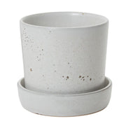 6.75" White Speckle Deep Saucer Planter Set - Urban Sprouts