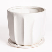 7.5" White Urchin Planter Set - Urban Sprouts