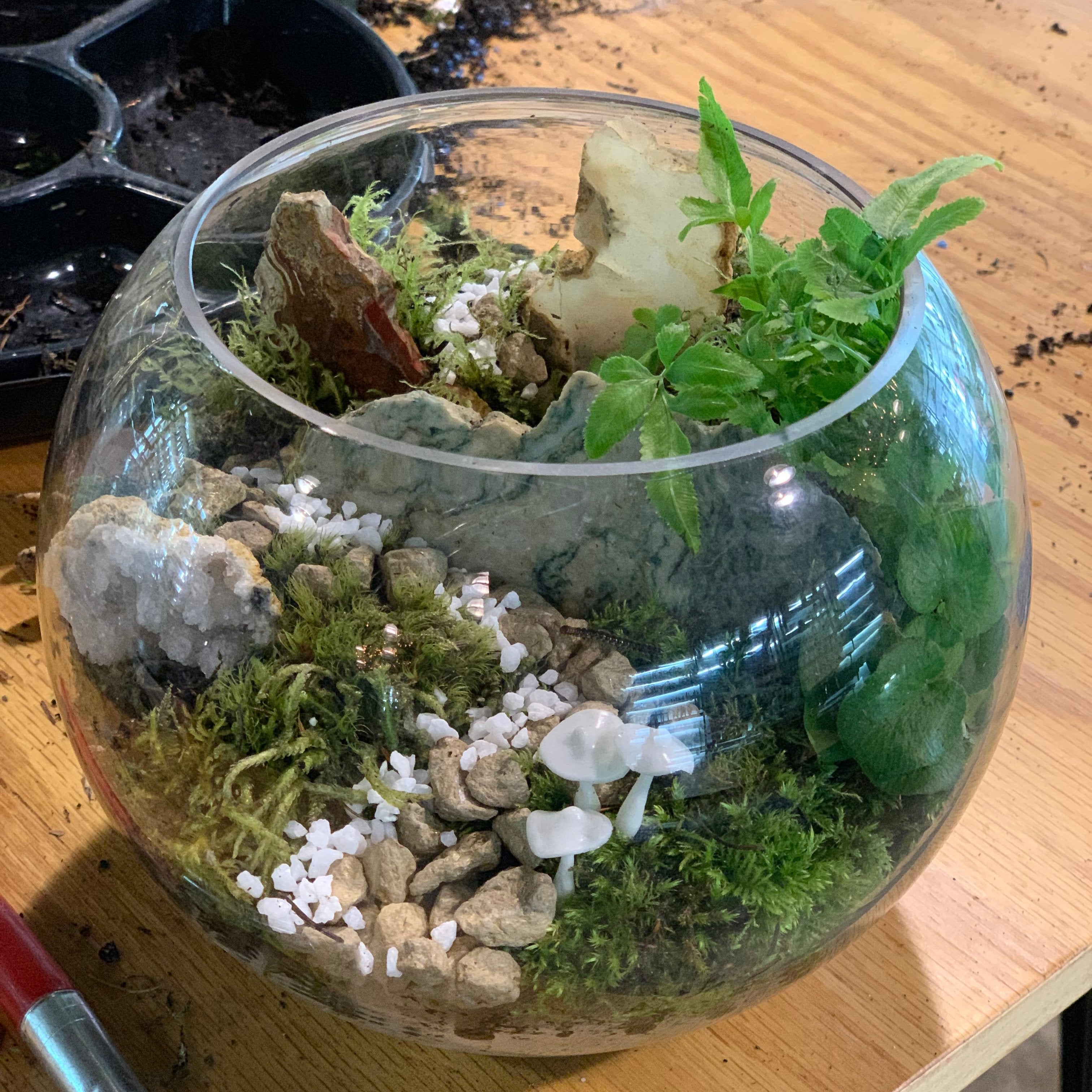 Terrarium Bar Reservation - Urban Sprouts