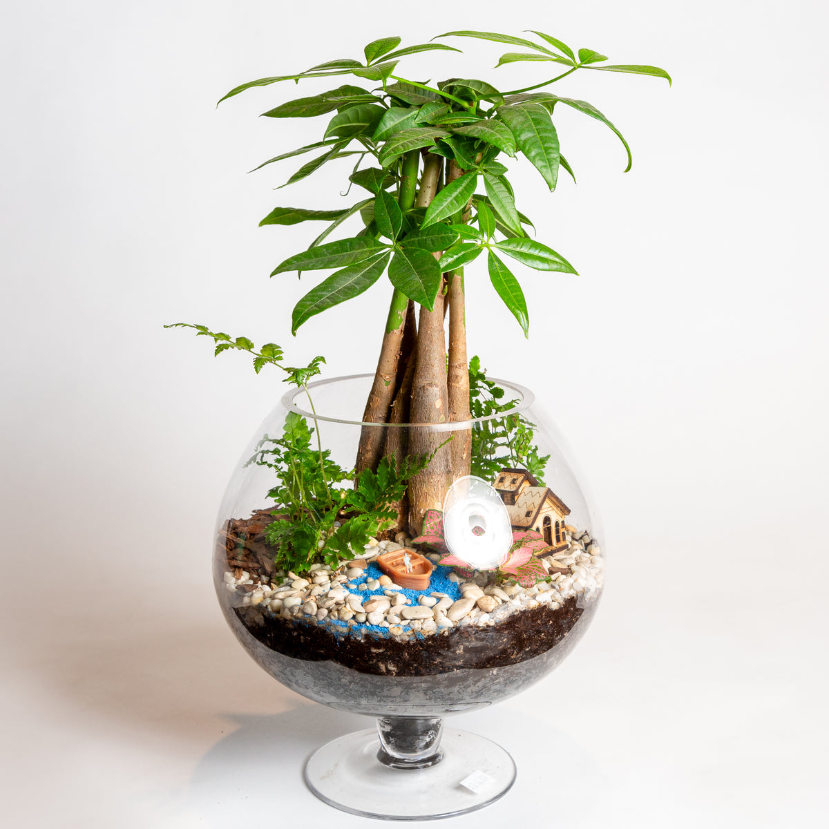9" Glass Pedestal Terrarium - Urban Sprouts