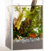 9/6 @ 2:00 Shrimp Aquarium Workshop - Urban Sprouts