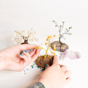 9/7 @ 2:00 Crystal Wire Bonsai Workshop - Urban Sprouts