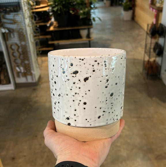 5” Speckled Cream Planter Set - Urban Sprouts