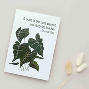 A Plant is the Most Patient & Forgiving Teacher - Blank Greeting Card - Urban Sprouts
