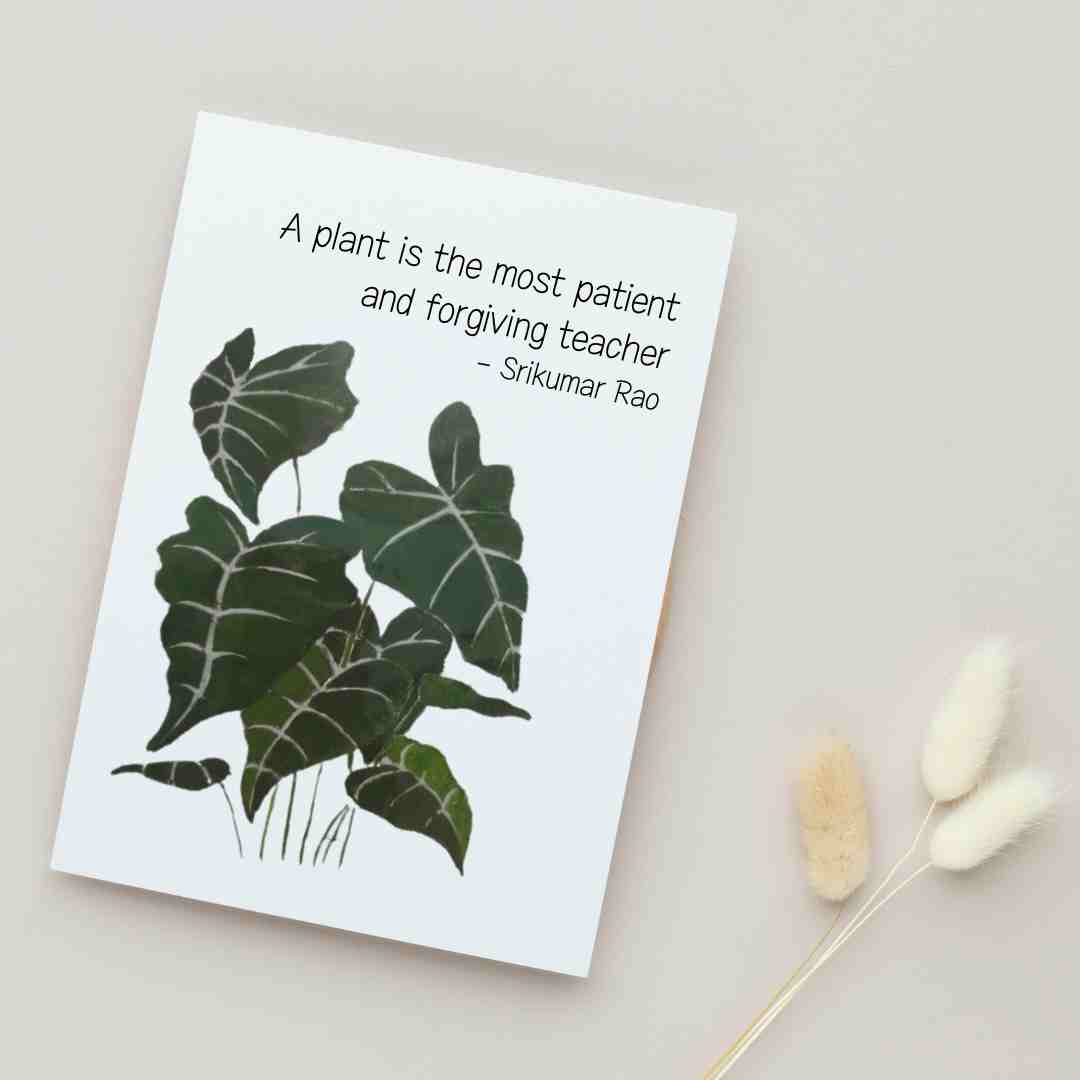 A Plant is the Most Patient & Forgiving Teacher - Blank Greeting Card - Urban Sprouts