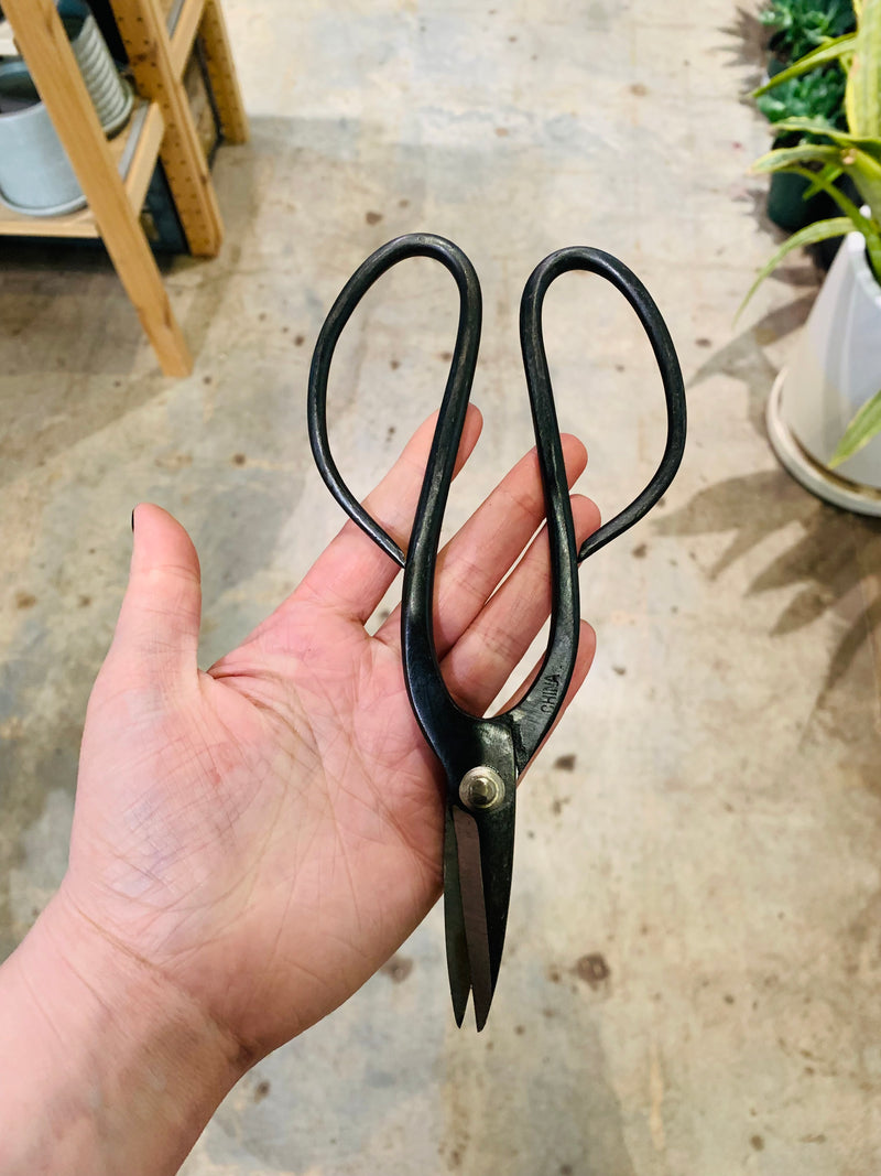 Curved Pruning Shears