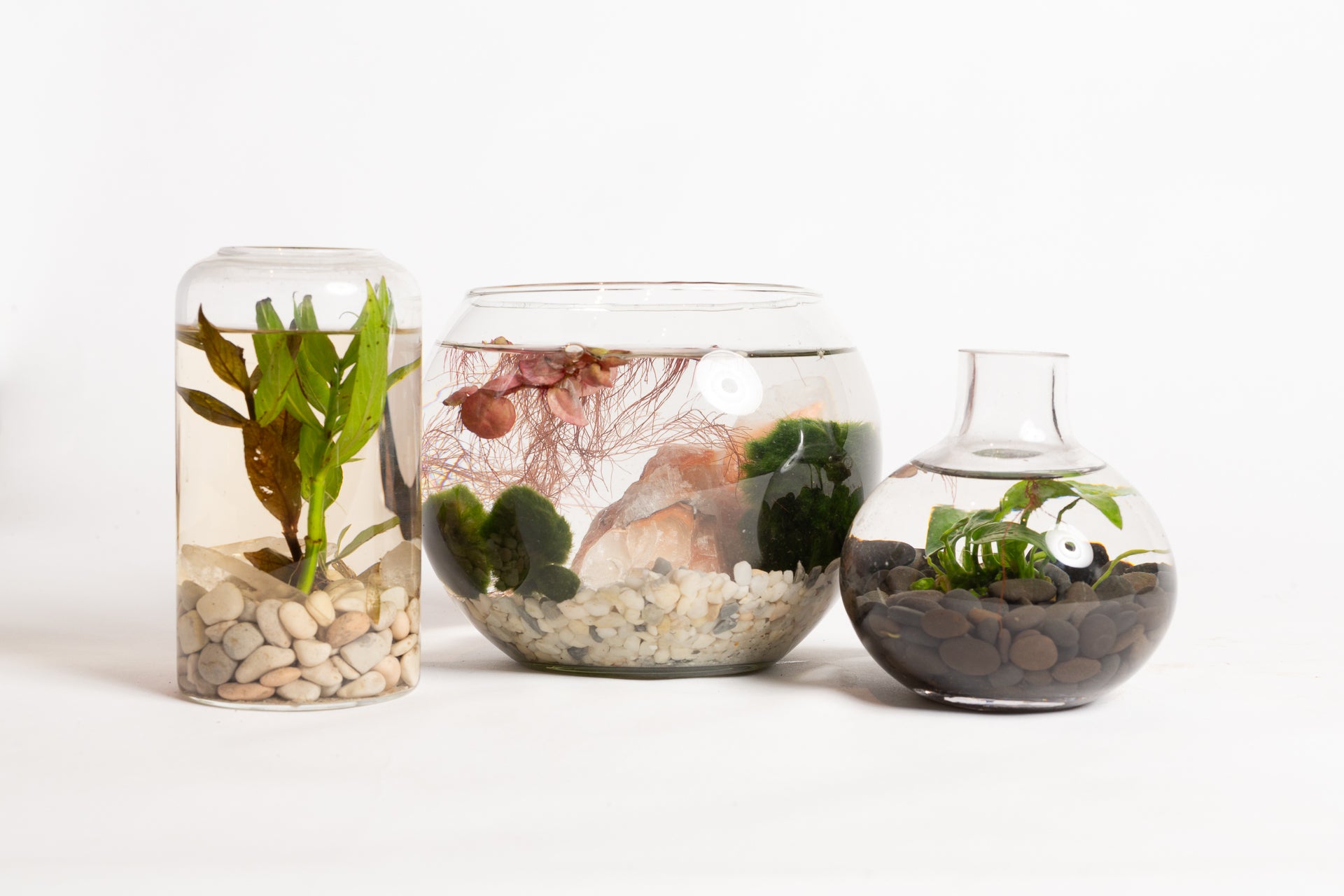 Activity Bar Reservation - Urban Sprouts