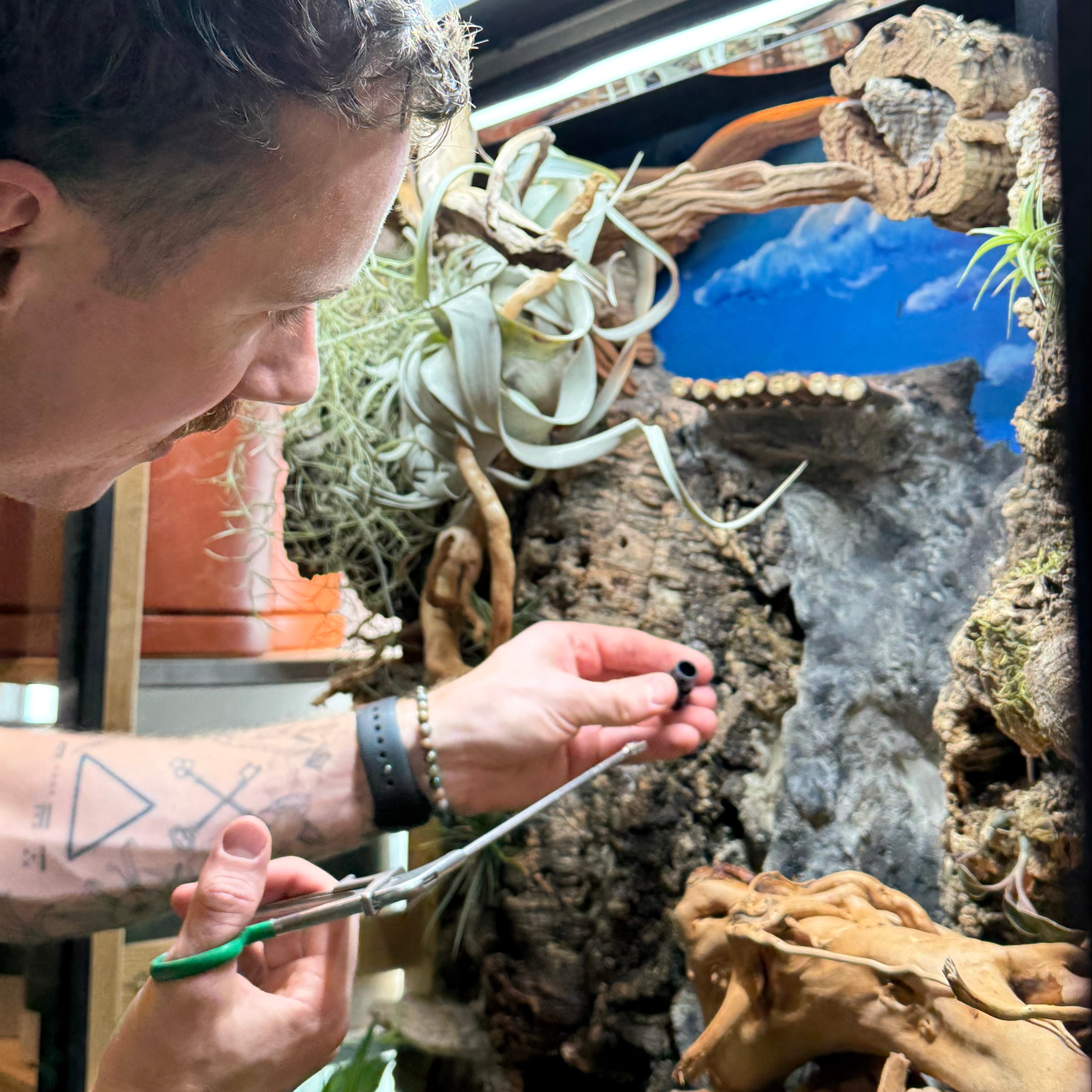 Activity Bar Reservation (copy) - Urban Sprouts