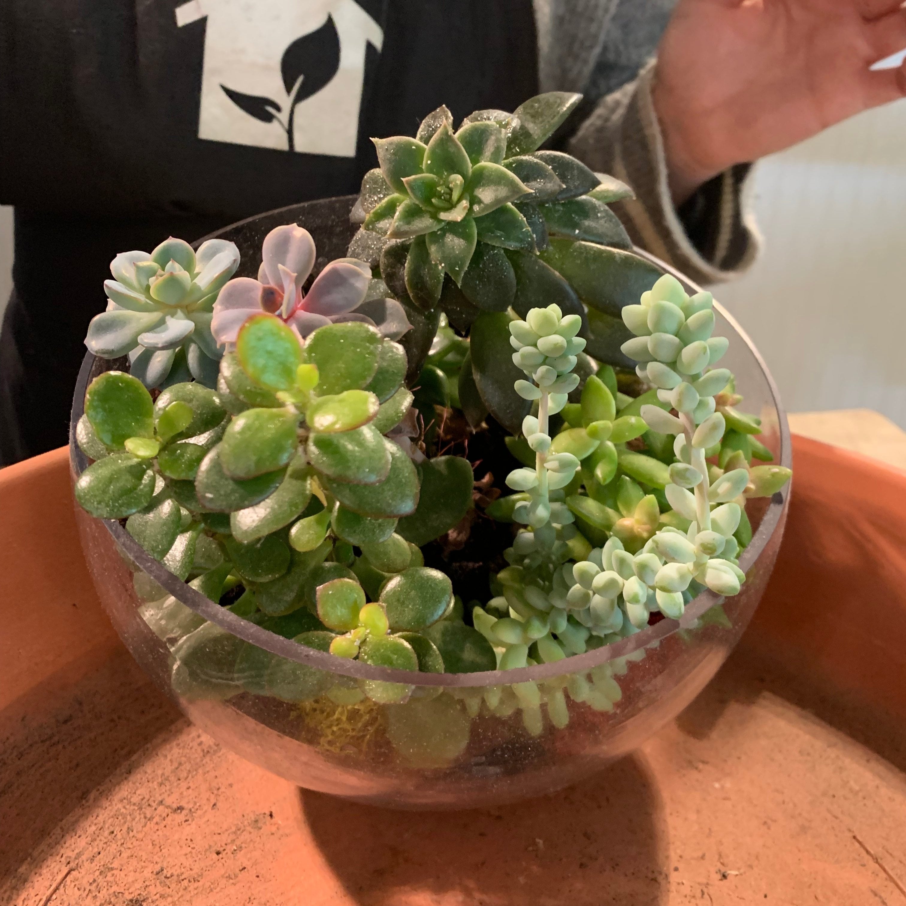 Terrarium Bar Reservation - Urban Sprouts