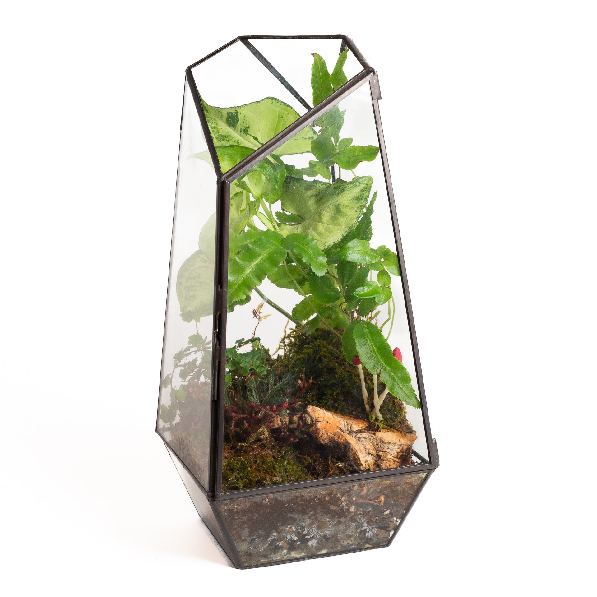 Activity Bar Reservation - Urban Sprouts