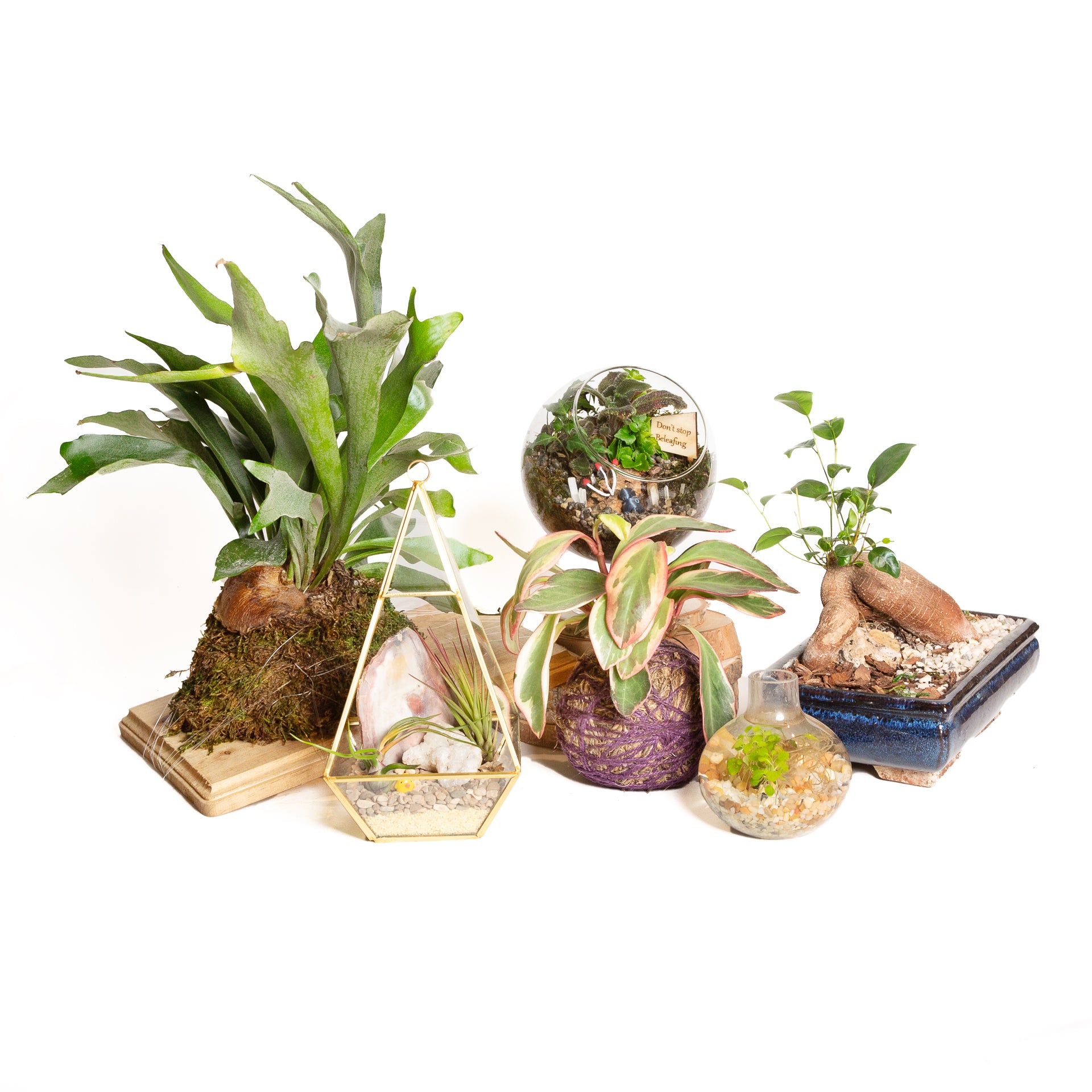 Terrarium Bar Reservation - Urban Sprouts