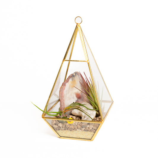 3/30 @ 2:00 Air Plant Terrariums Workshop