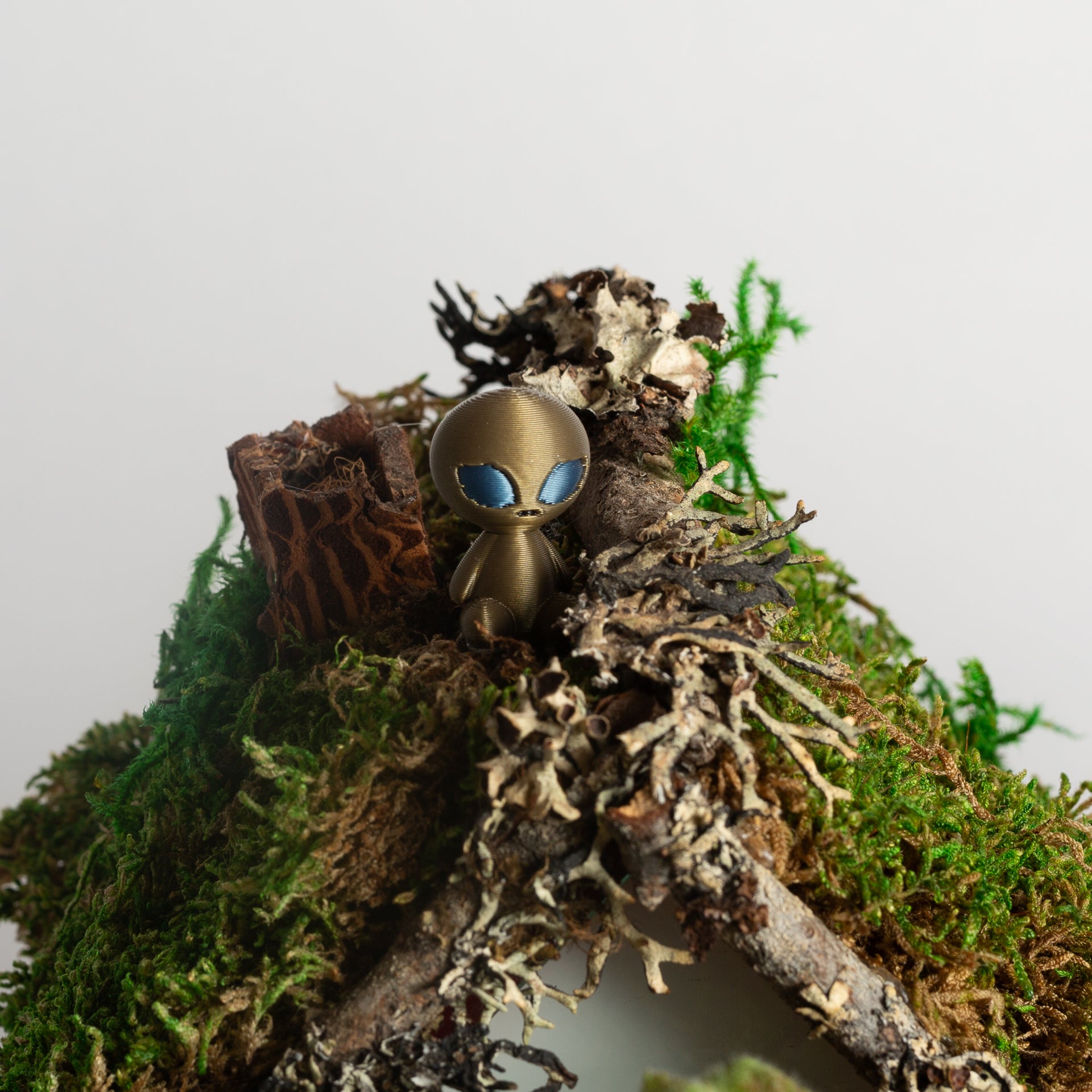 Albert the Alien - Urban Sprouts