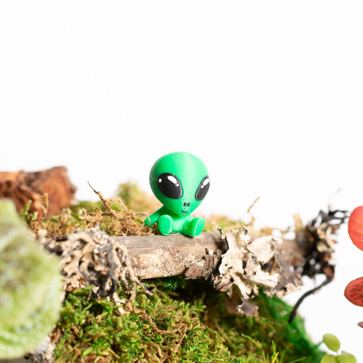 Albert the Alien