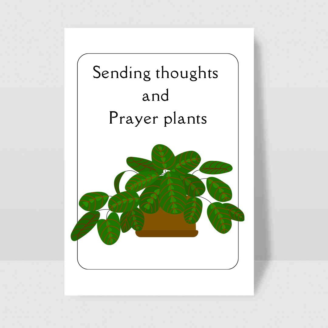 Sending Thoughts and Prayer Plants - Blank Greeting Card