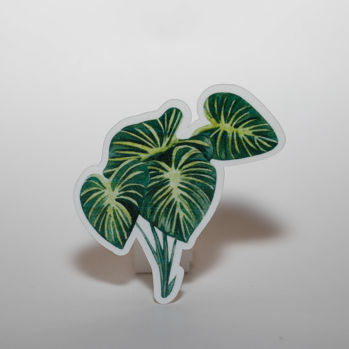 Alocasia Leaves Sticker