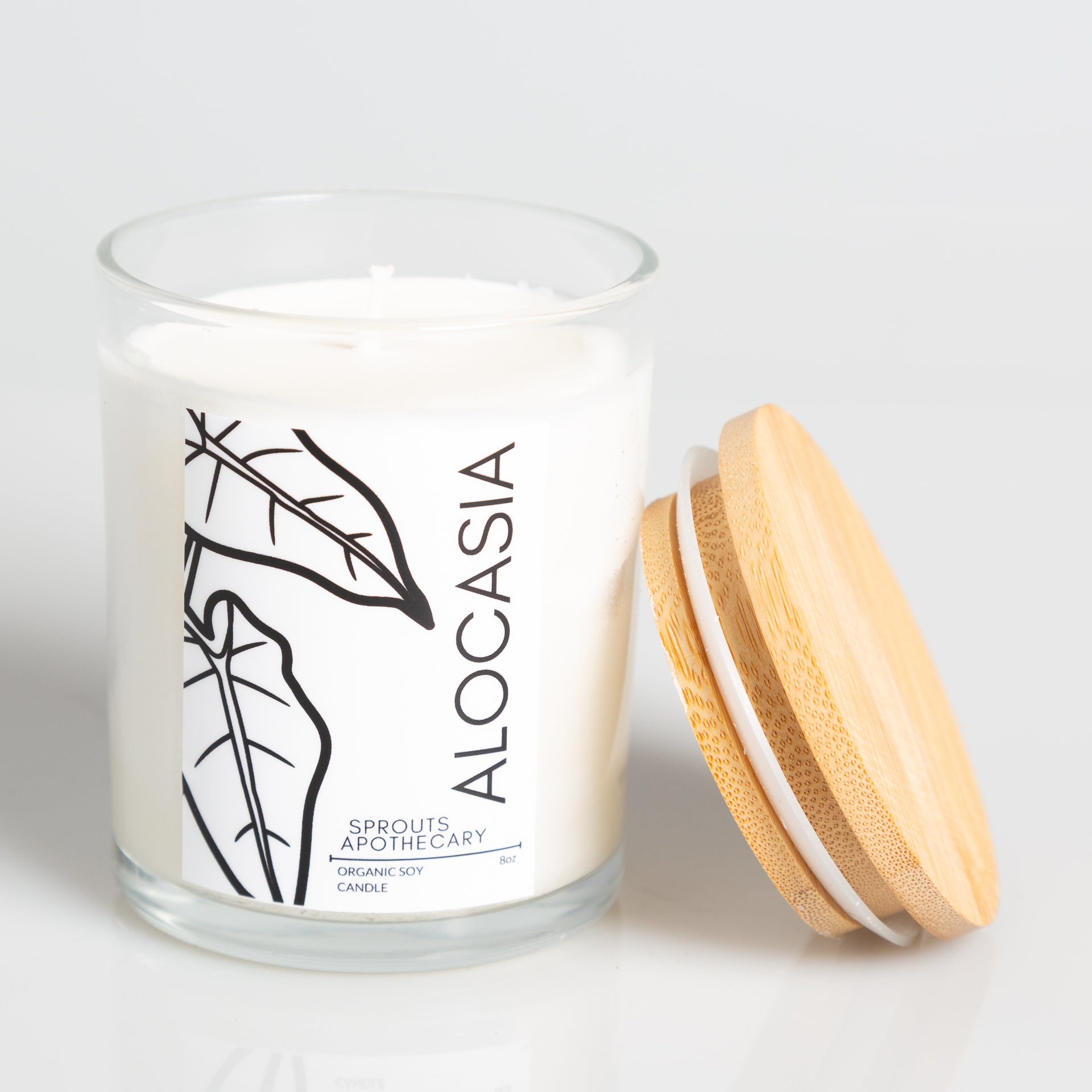 Alocasia - Sprouts Apothecary Soy Candle - Urban Sprouts