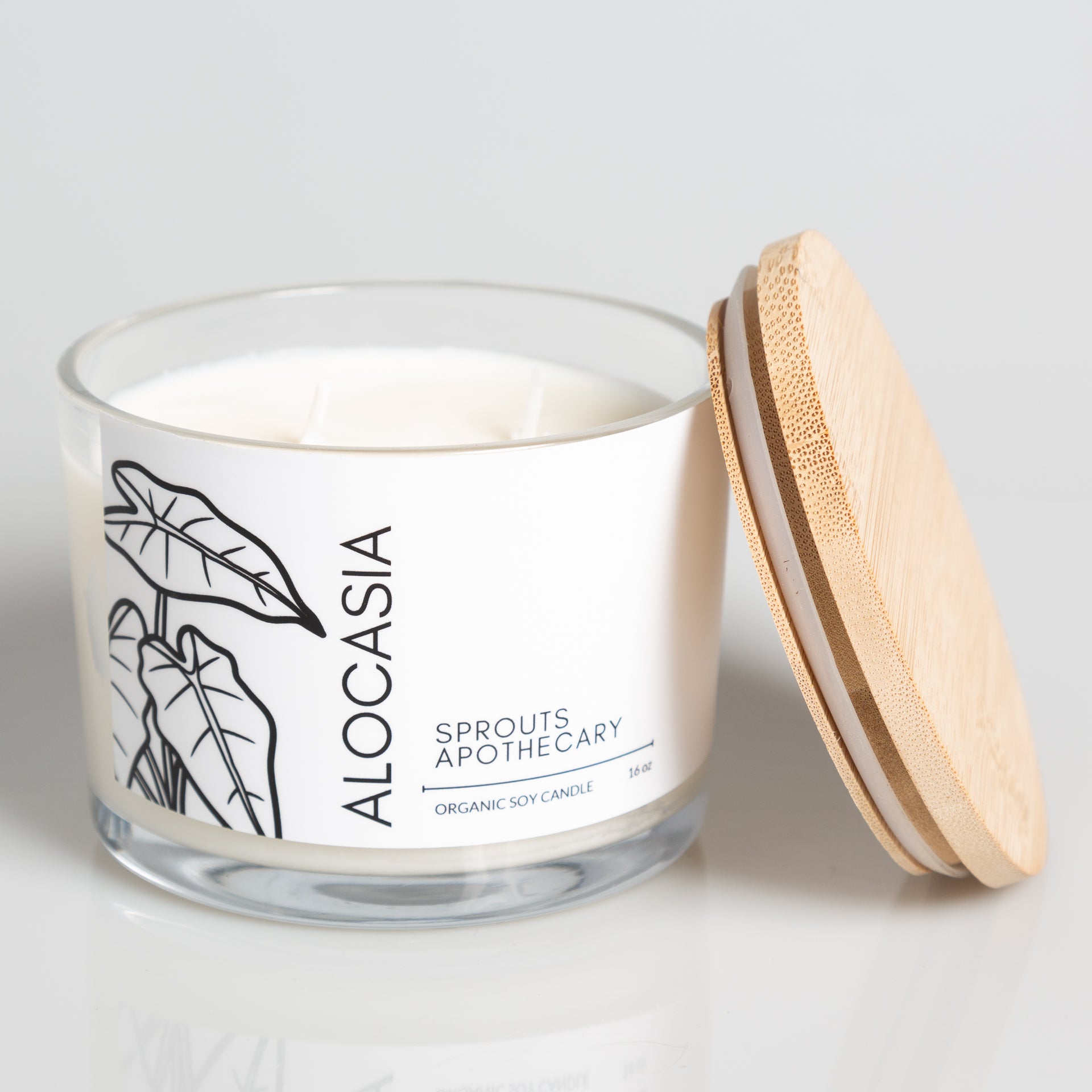 Alocasia - Sprouts Apothecary Soy Candle - Urban Sprouts