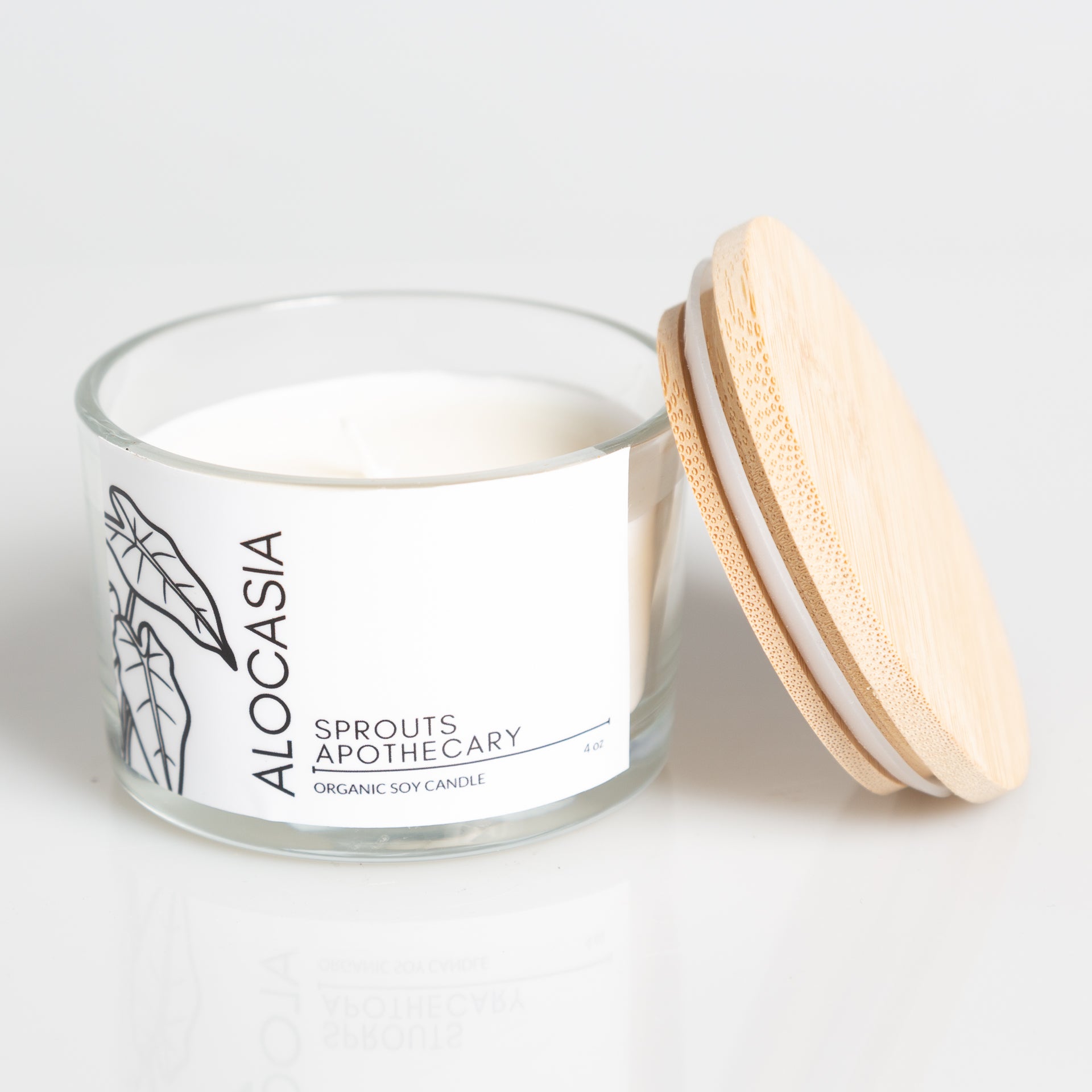 Alocasia - Sprouts Apothecary Soy Candle - Urban Sprouts