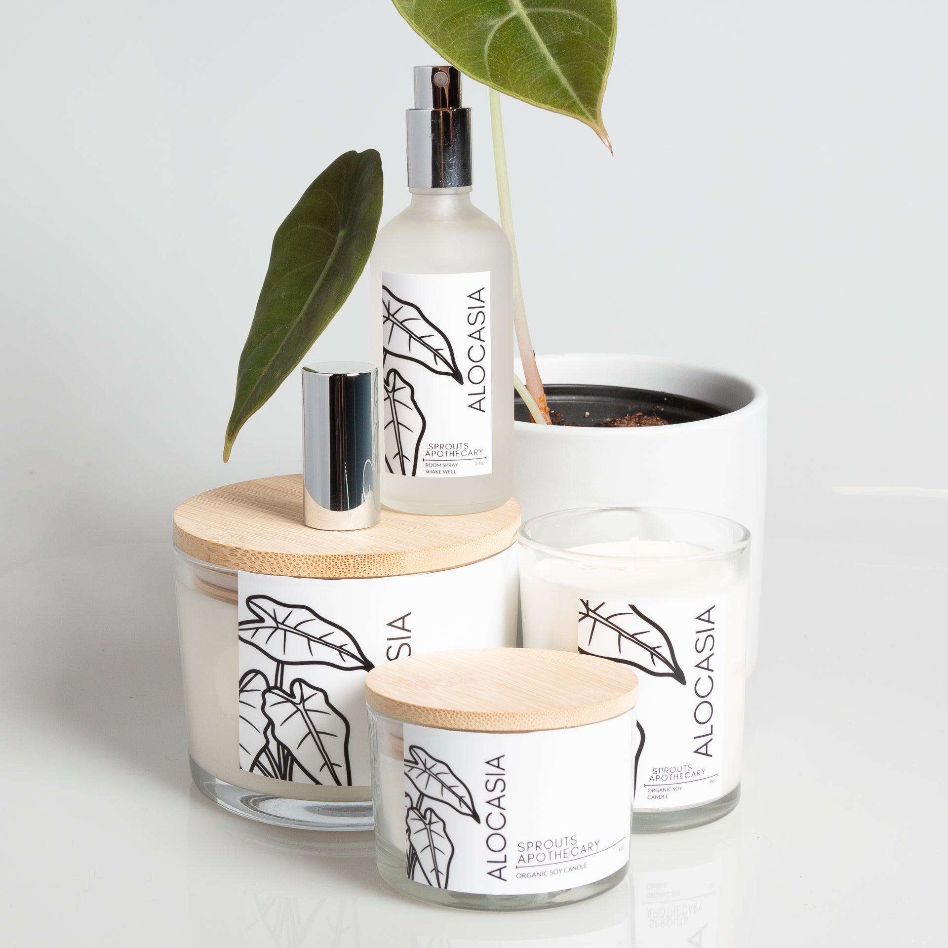 Alocasia - Sprouts Apothecary Soy Candle - Urban Sprouts