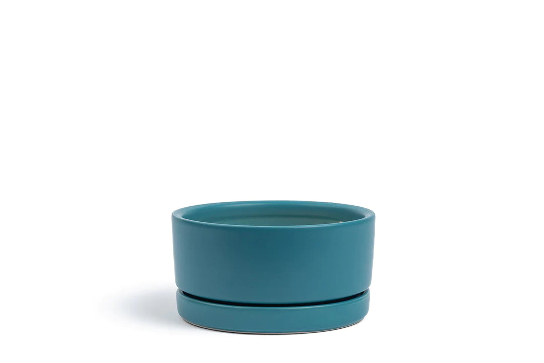 6.5" Antique Teal Low Bowl Planter - Urban Sprouts
