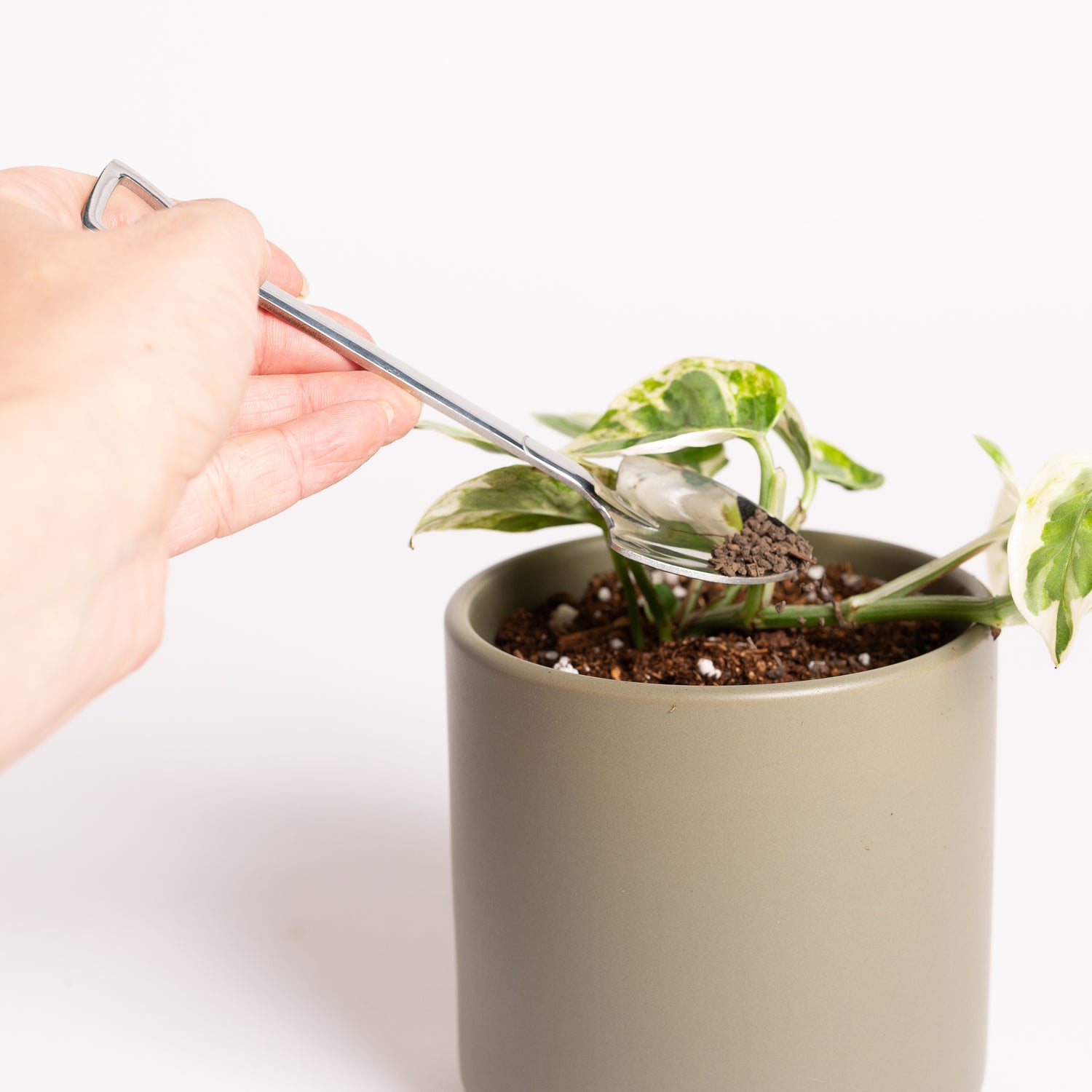 Bacterial Inoculant Granule - Urban Sprouts