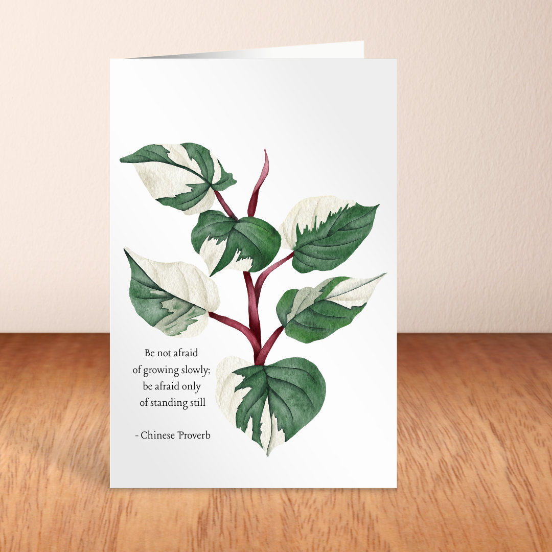 Be Not Afraid of Growing Slowly - Blank Greeting Card