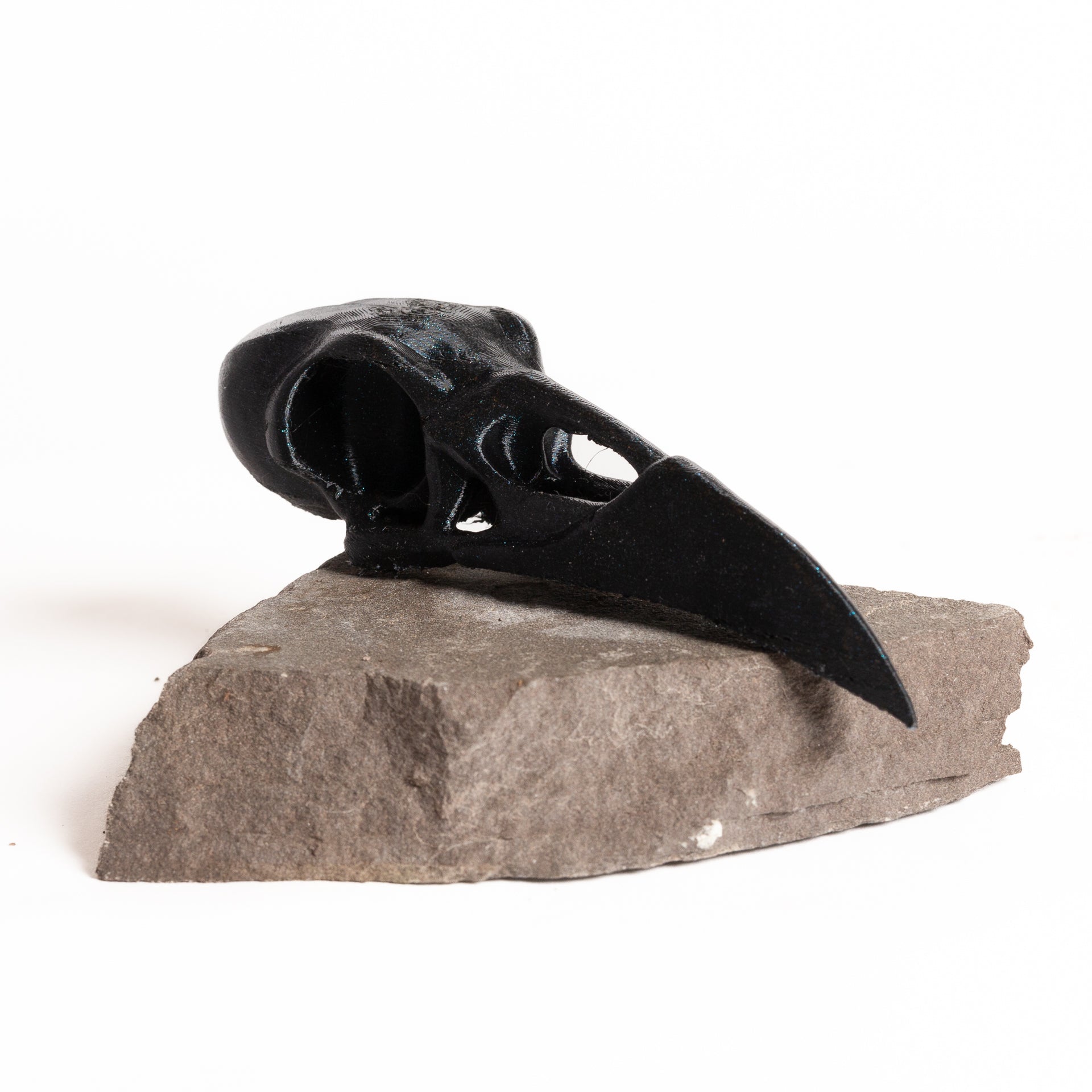 Black Glitter Raven Skull - Large - Urban Sprouts
