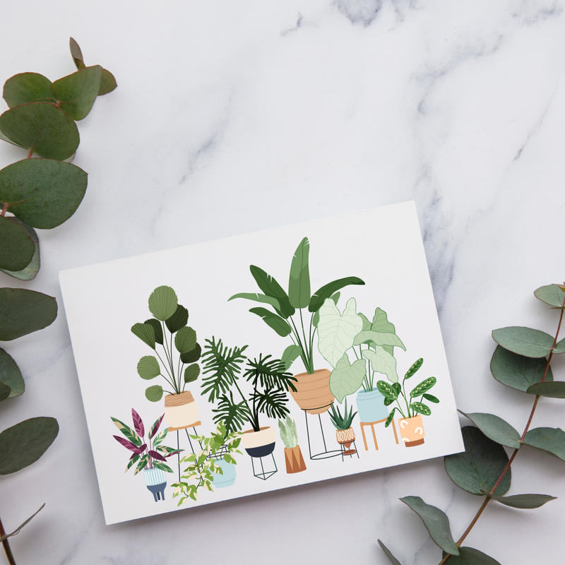 Plant Collection on Stands - Blank Greeting Card