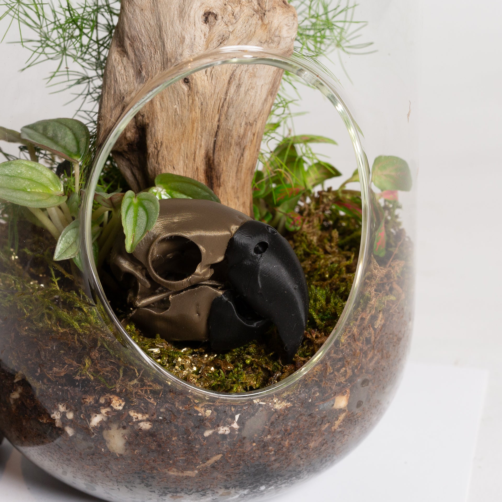 Bronze Parrot Skull - Urban Sprouts