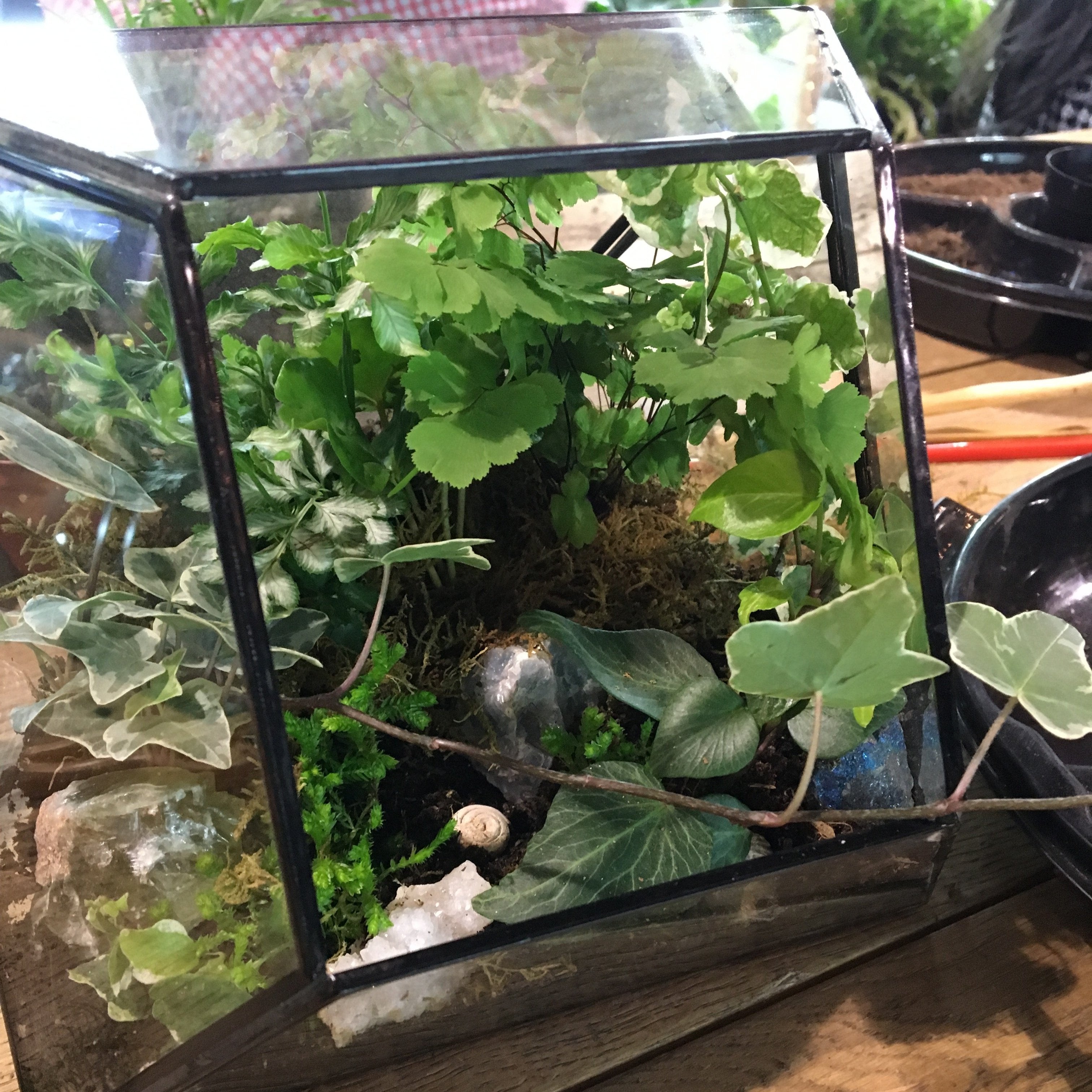 Terrarium Bar Reservation - Urban Sprouts