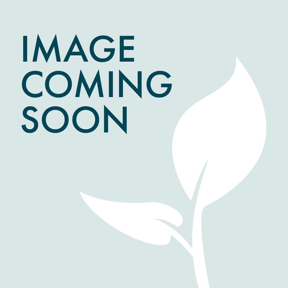 11/29 @ 2:00 Ornament Painting Workshop - Urban Sprouts