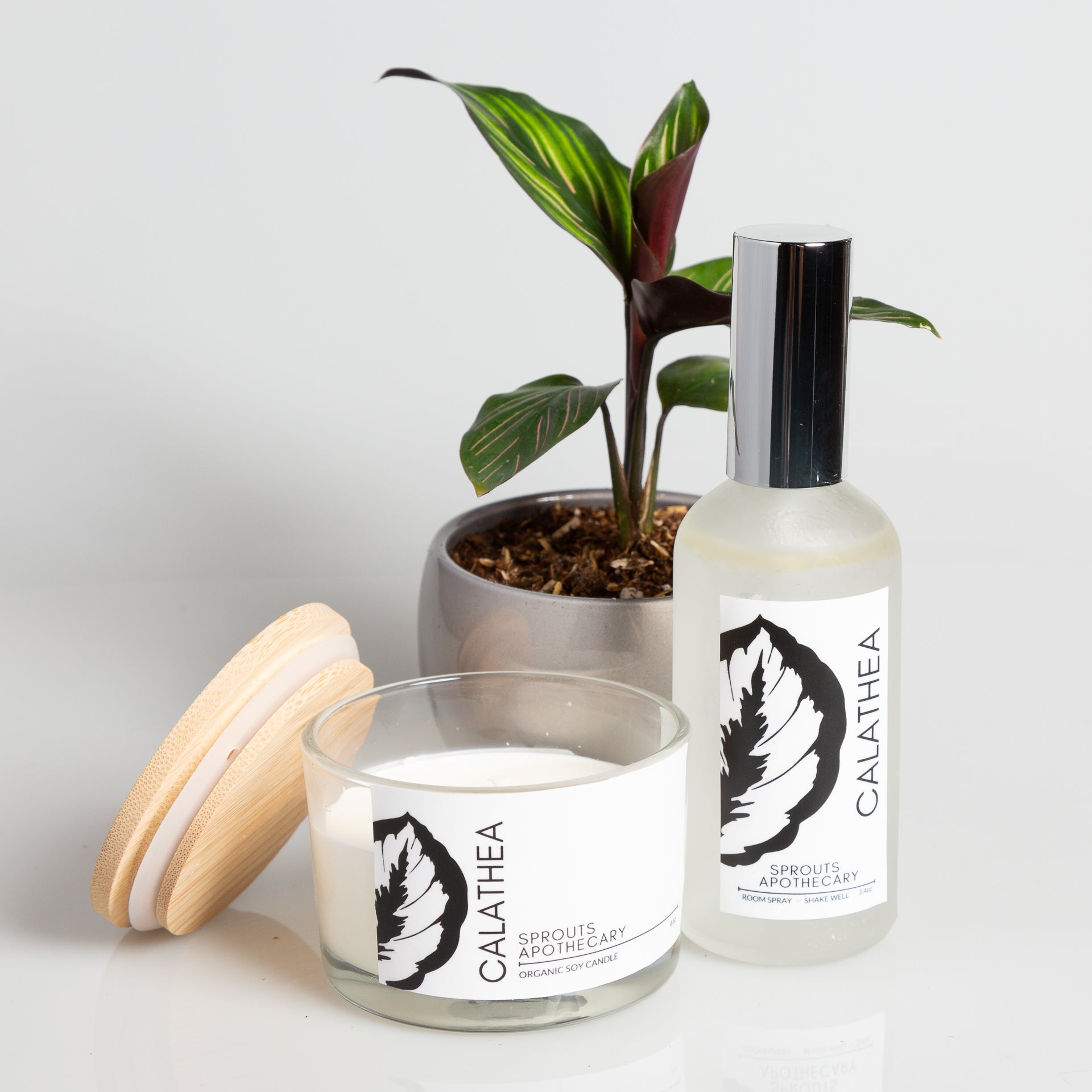 Calathea - Sprouts Apothecary Soy Candle - Urban Sprouts