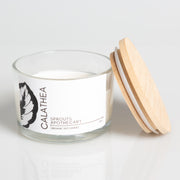 Calathea - Sprouts Apothecary Soy Candle - Urban Sprouts