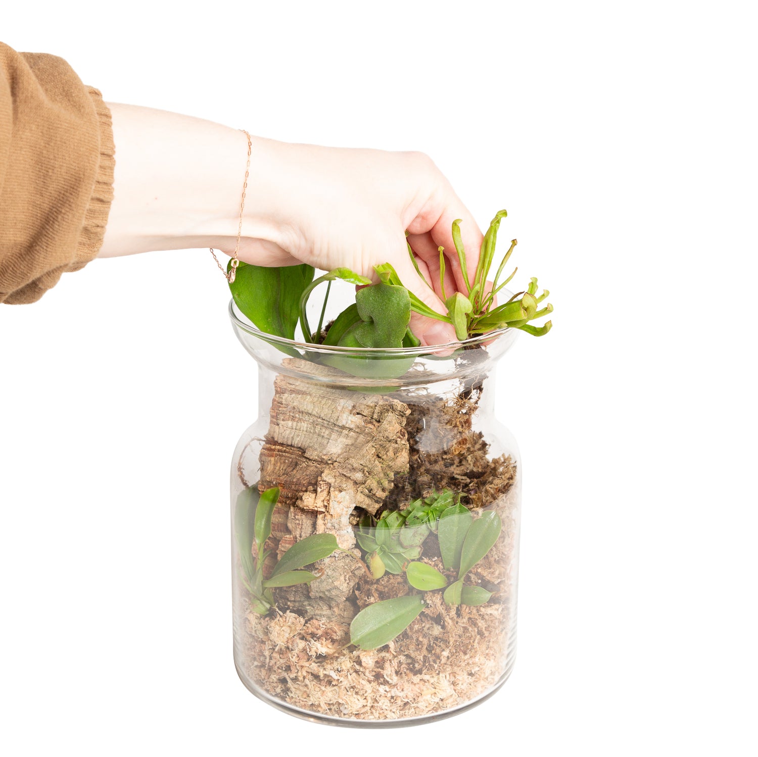 4/5 @ 6:00 Carnivorous Terrarium Workshop