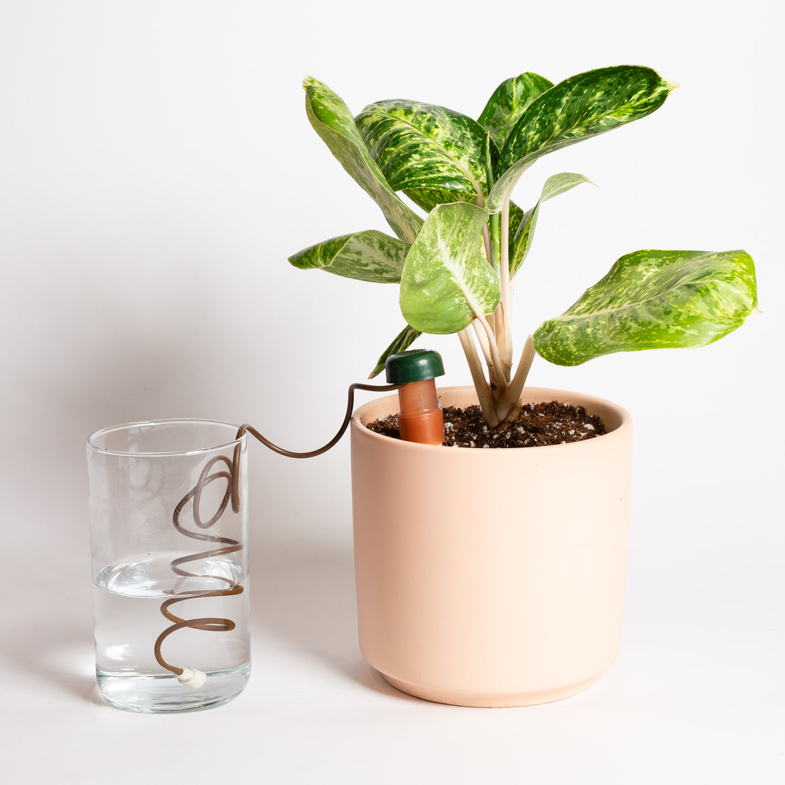 Ceramic Watering Peg - Urban Sprouts