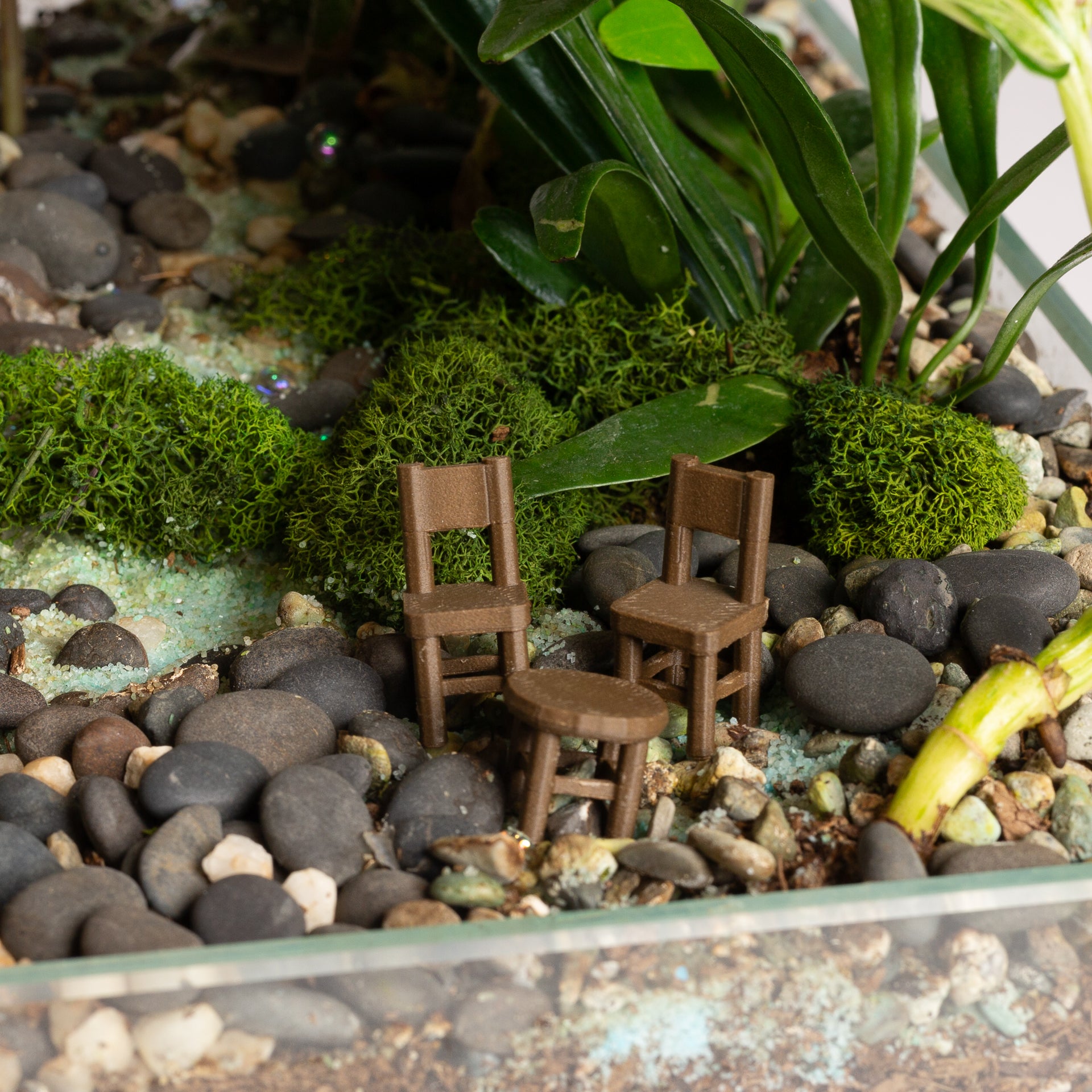 Classic Mini Chair - Urban Sprouts
