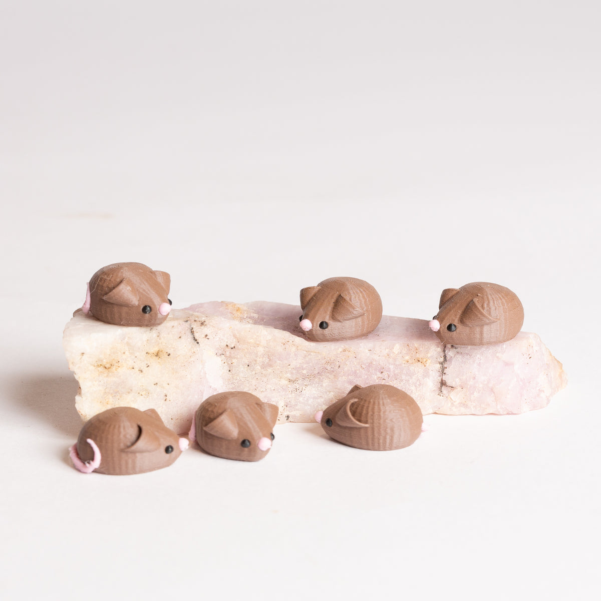 Cookie the Mouse