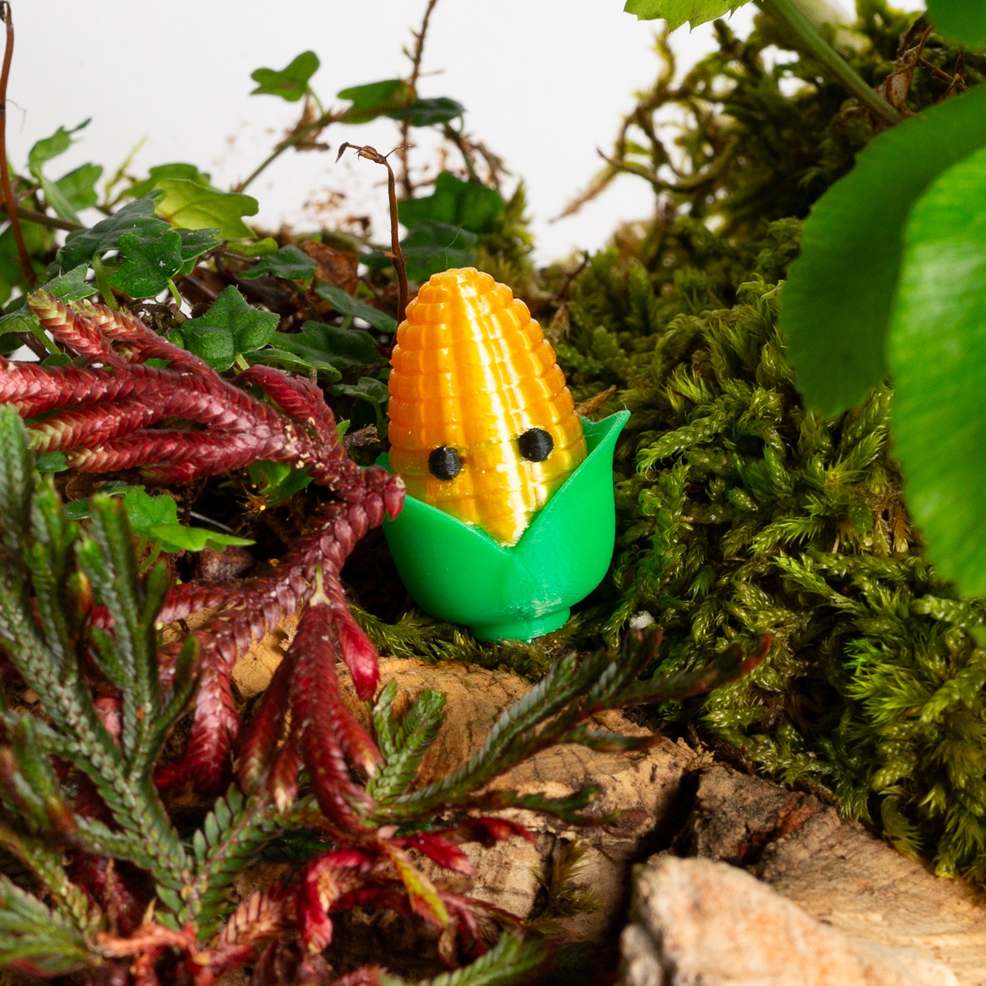 Cornelius the Corn - Urban Sprouts