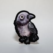 Curious Crow Sticker