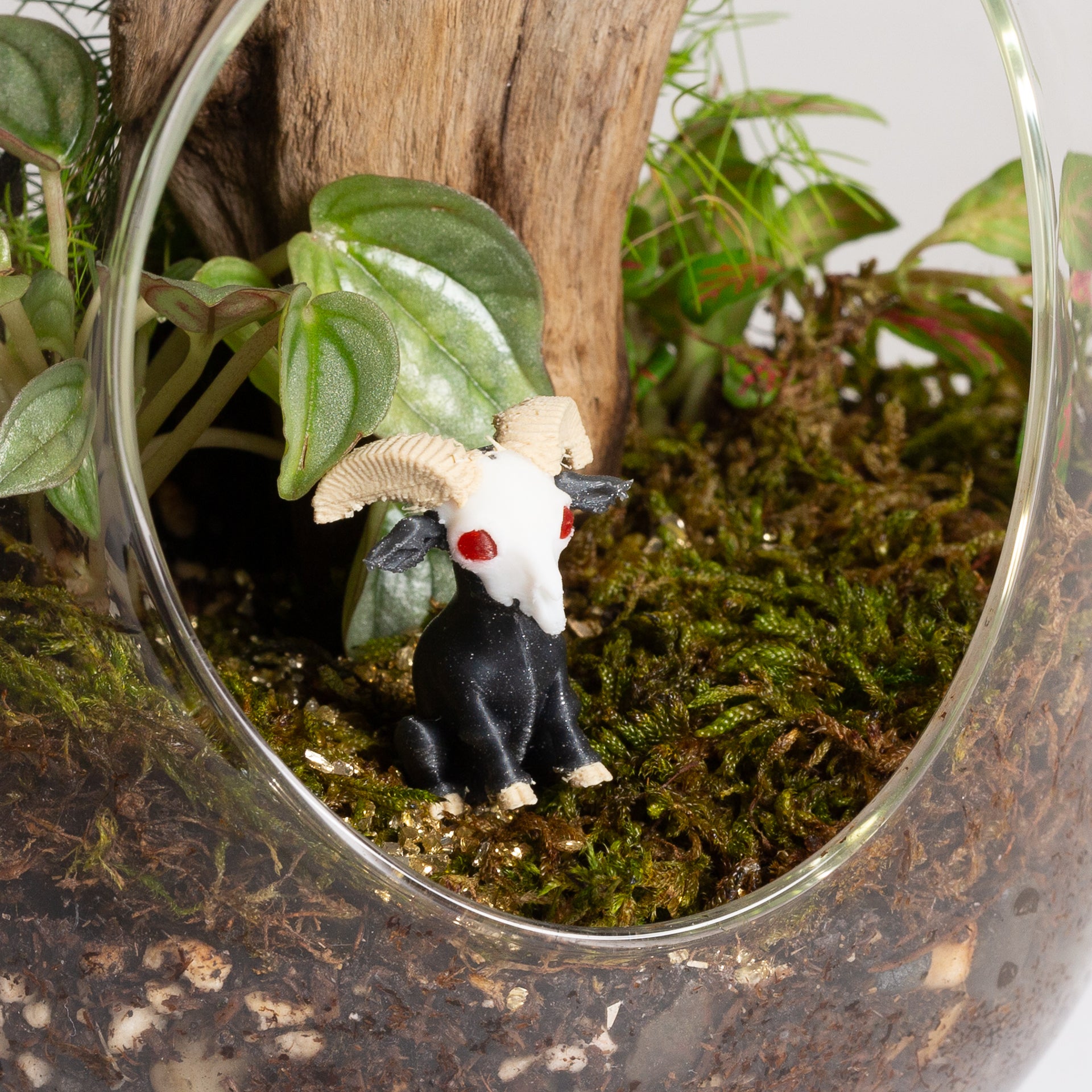 Goat With Skull Mask - Urban Sprouts
