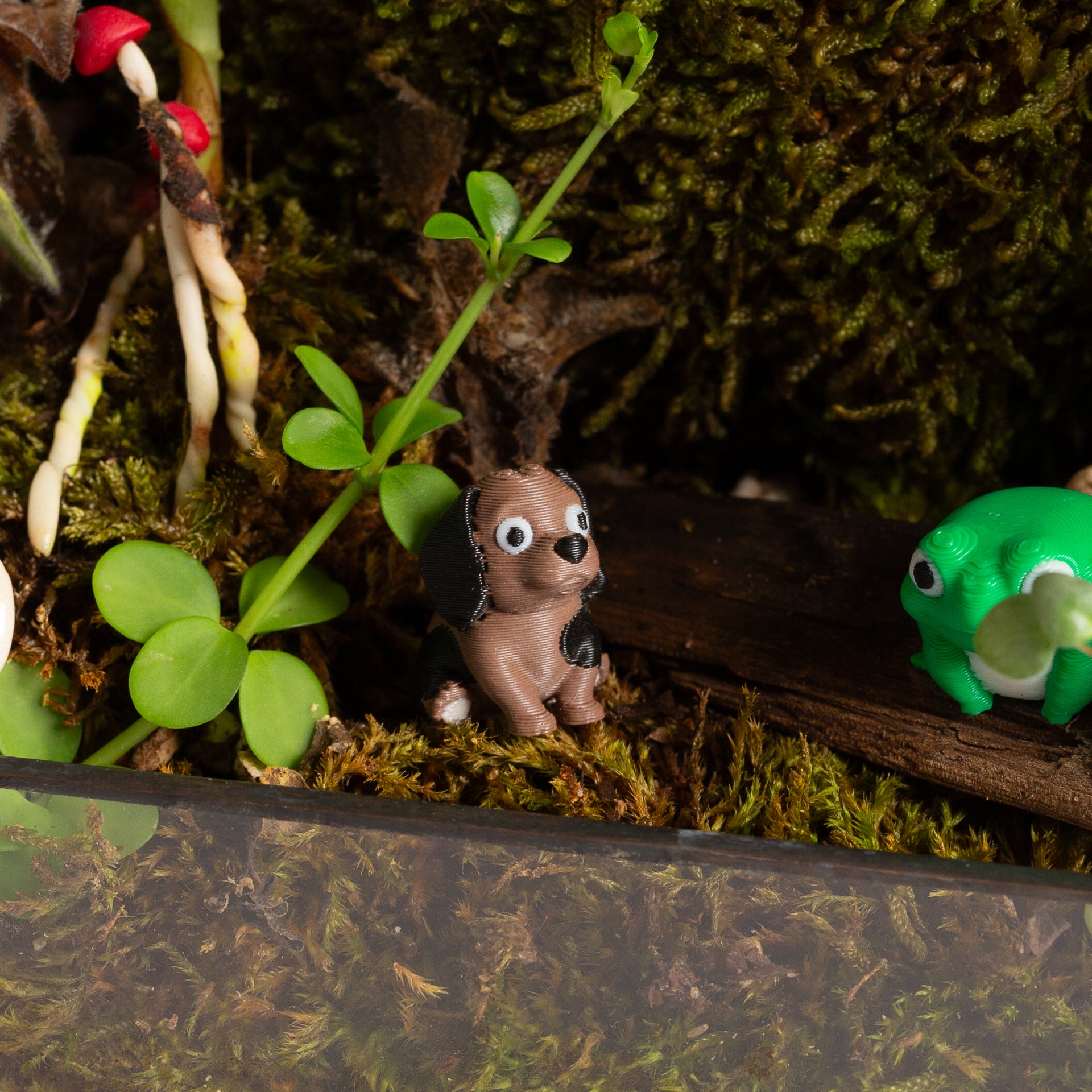 Dead-Eye Dennis the Dog - Urban Sprouts