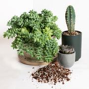 Desert Blend - Specialty Soil - Urban Sprouts