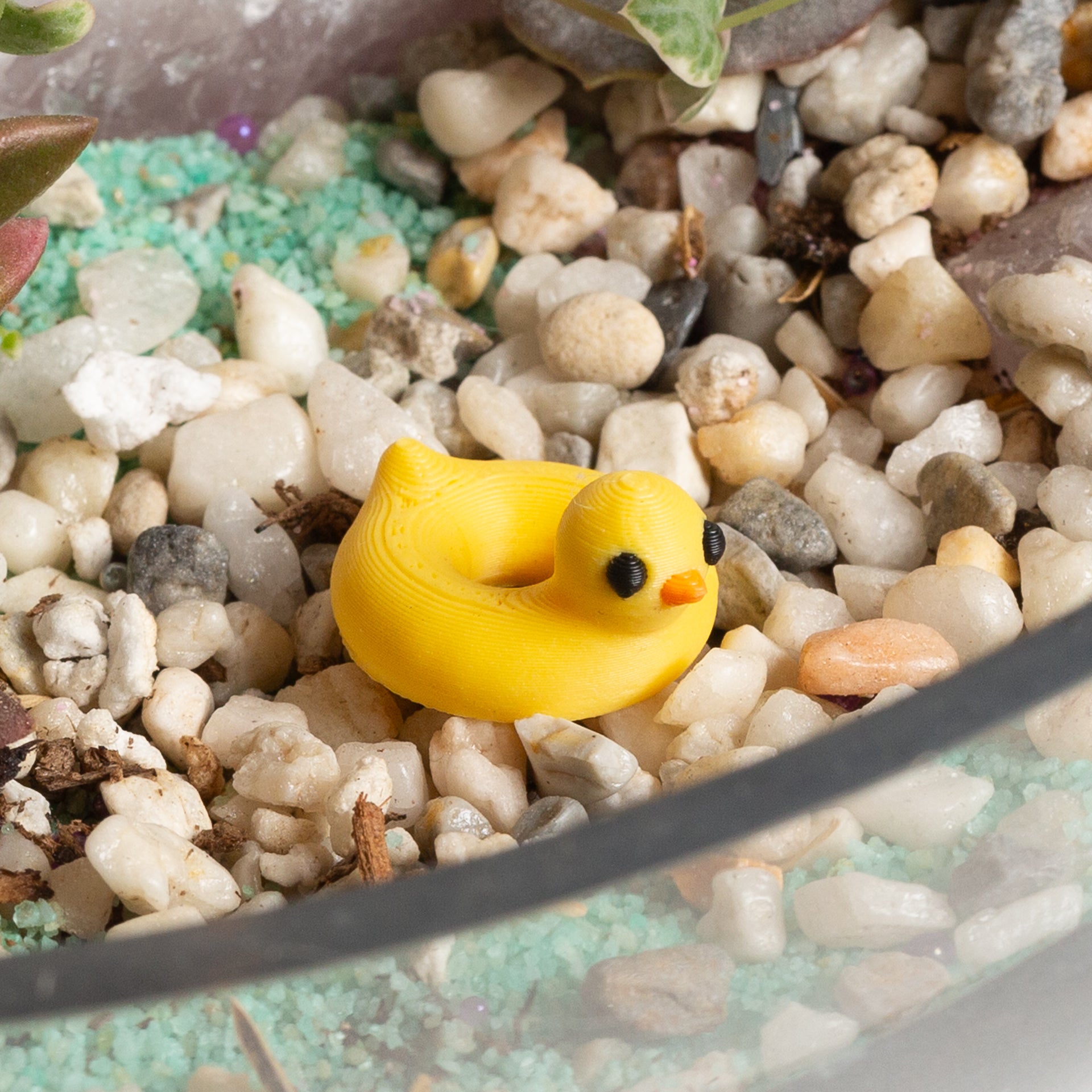 Doughnut Doug - Rubber Ducky Float - Urban Sprouts