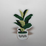 Fiddle Leaf Fig Sticker