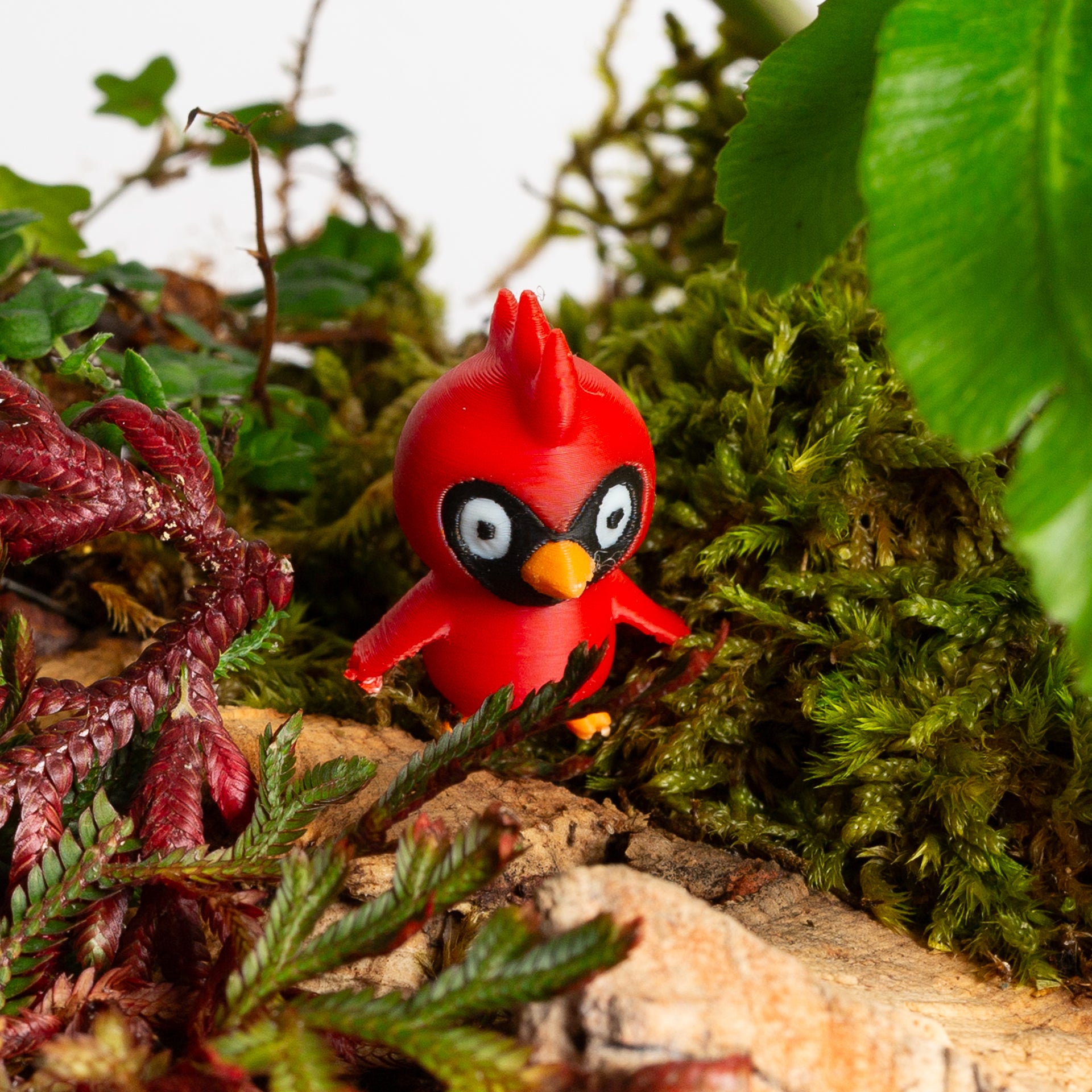 Flea the Cardinal - Urban Sprouts