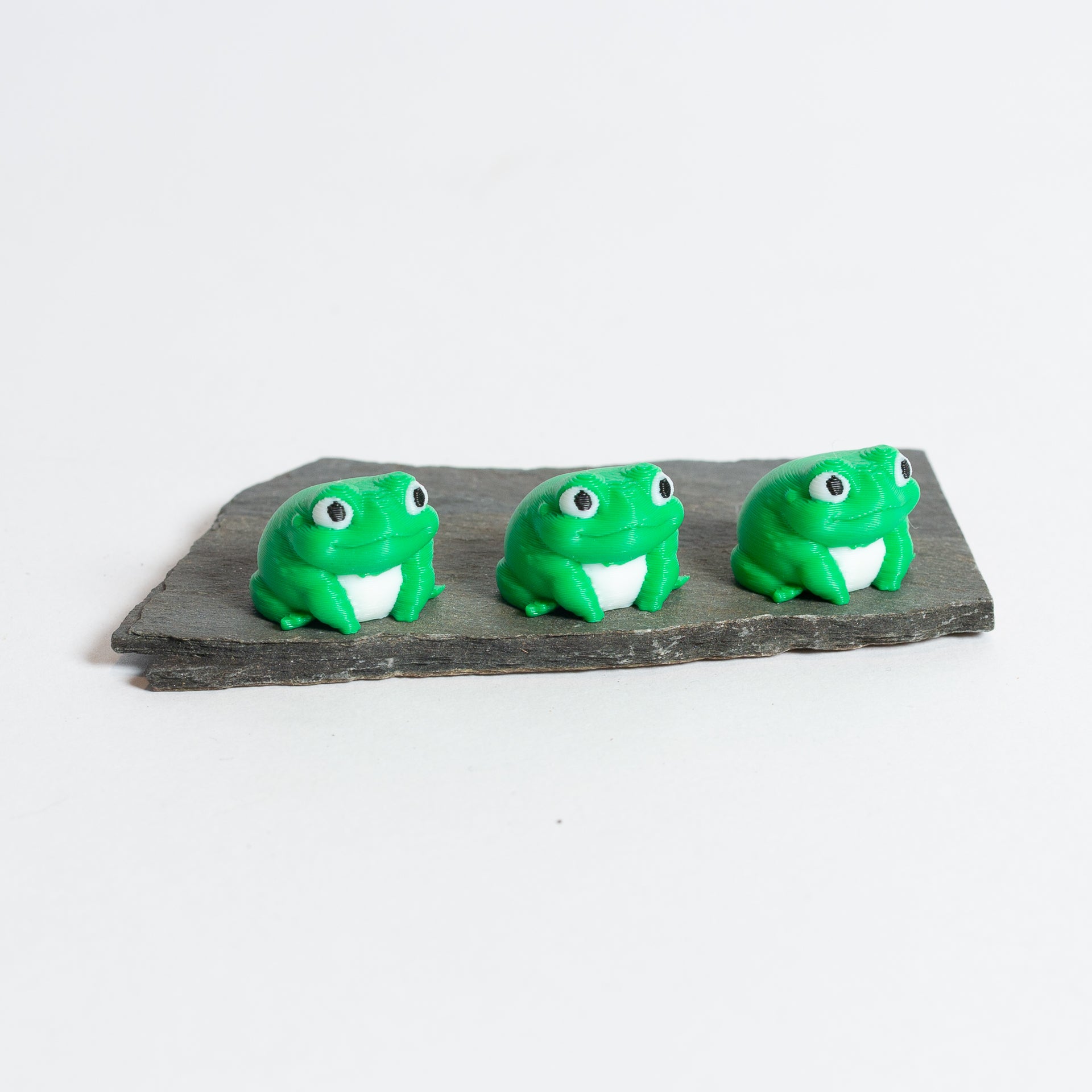 Frank the Frog - Urban Sprouts