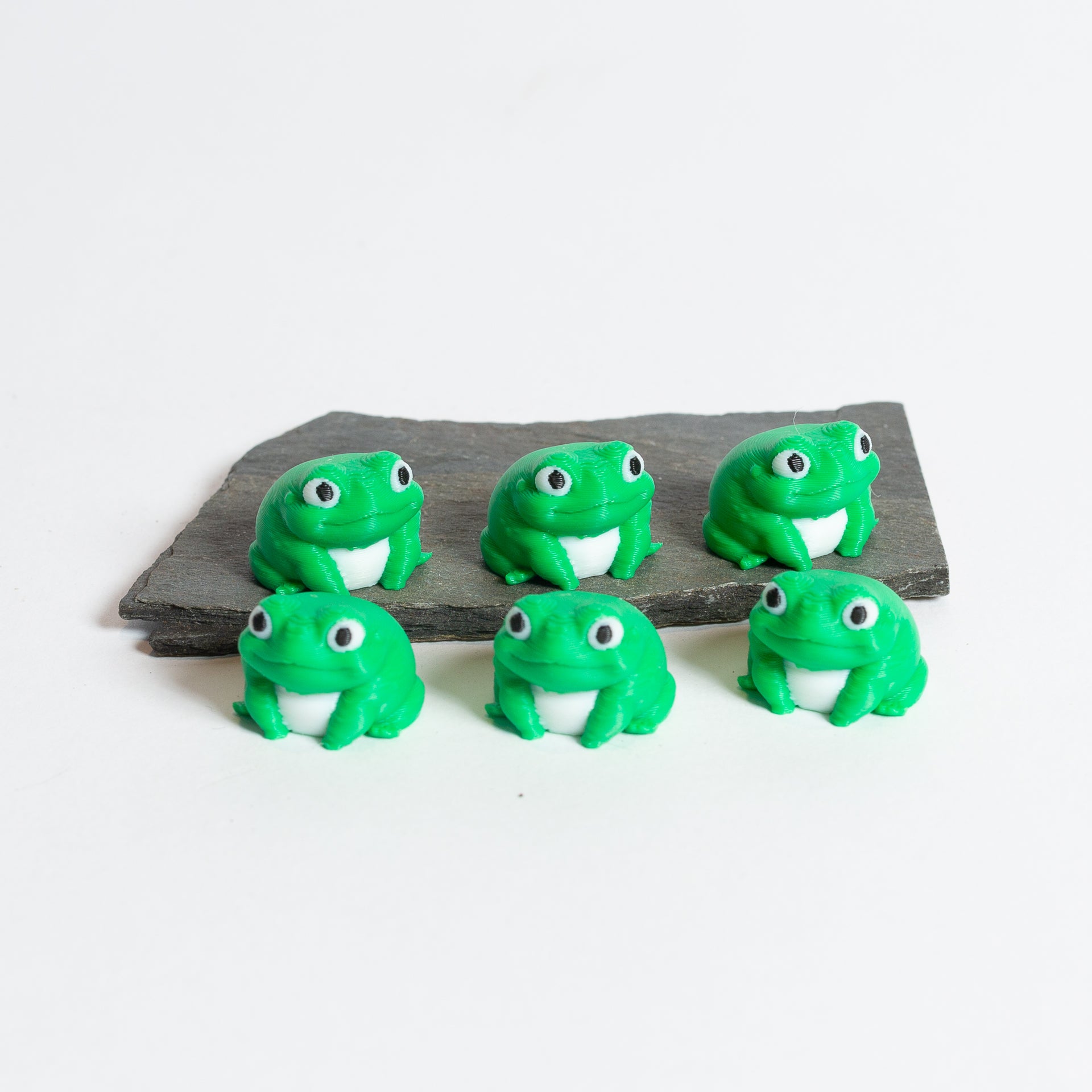 Frank the Frog - Urban Sprouts