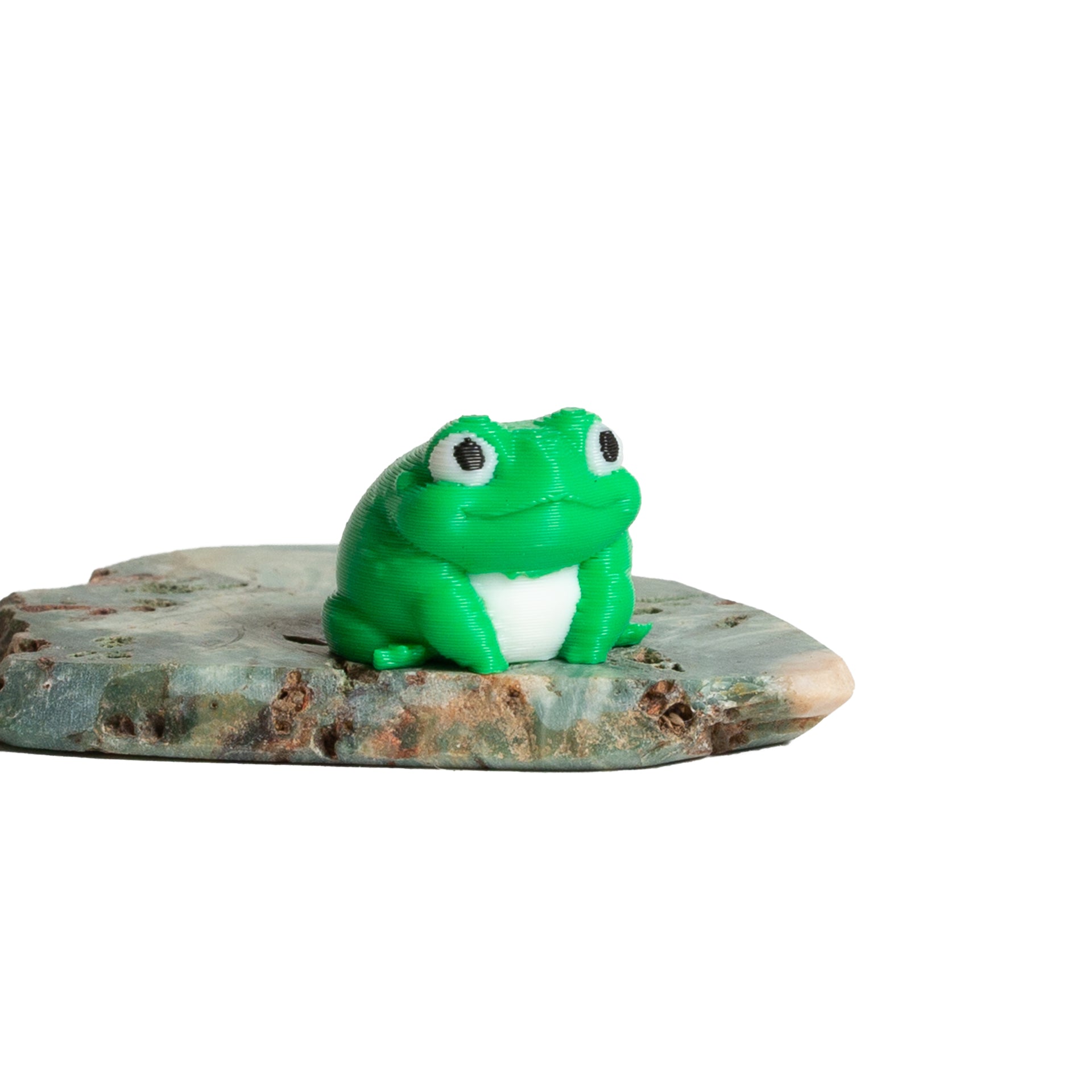 Frank Frog - Urban Sprouts