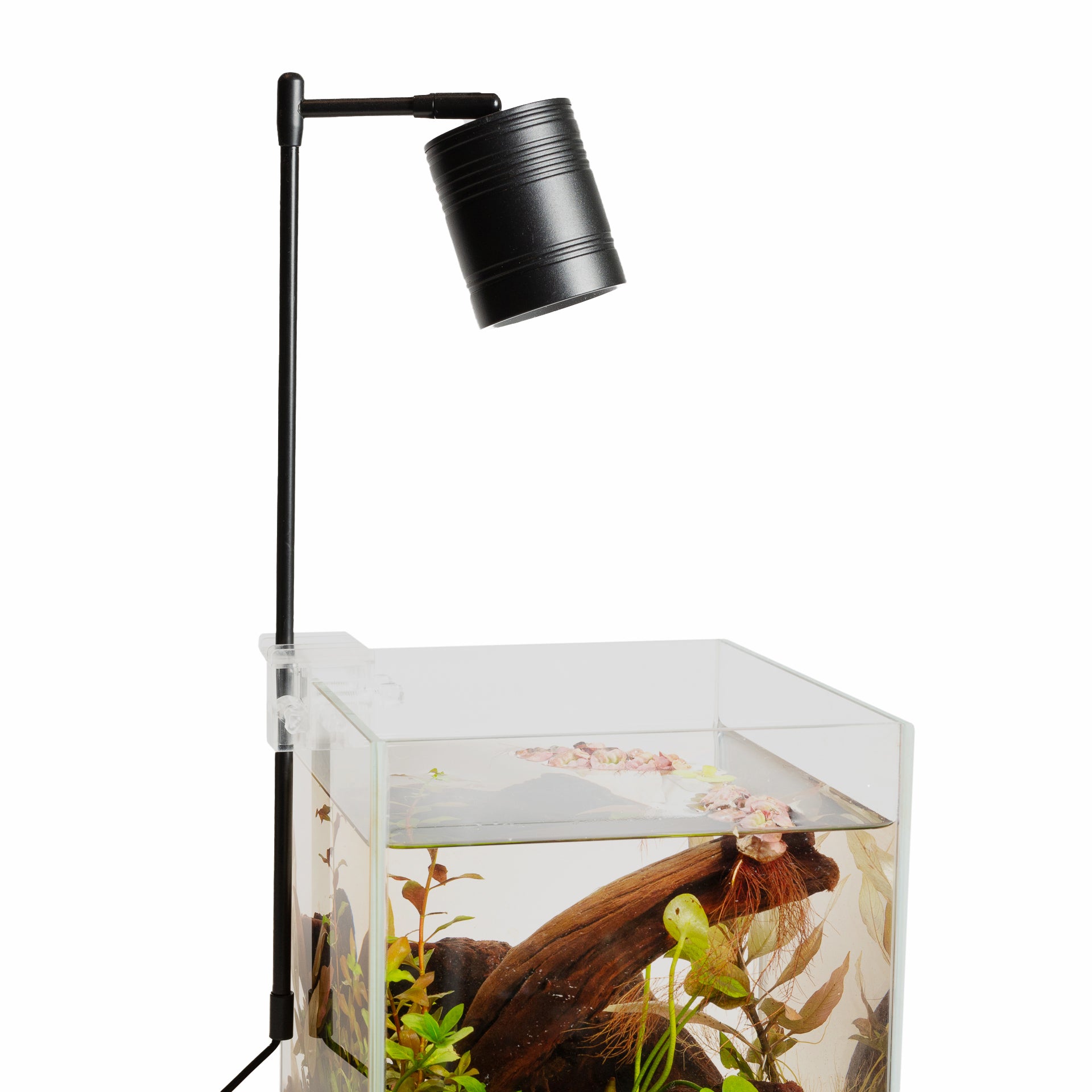 Full Spectrum Cob LED Spotlight - Urban Sprouts